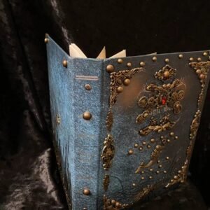 Steampunk Notebook: A Tear on the Eternal Cheek